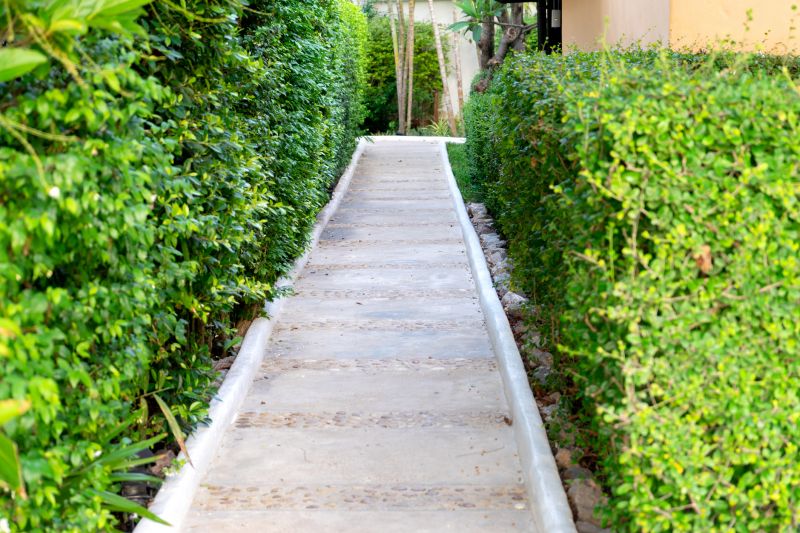 Concrete Pathway Repair in West Des Moines, IA